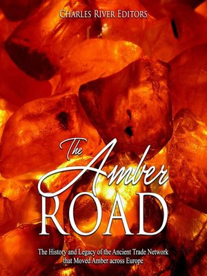 cover image of The Amber Road